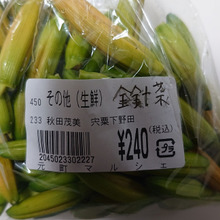 中国の高級食材 鉄分はほうれん草の20倍、憂鬱なことを忘れさせてくれる