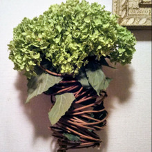 ♡緑色に変化した白いアジサイ(アナベル)♡フラワーアレンジメント・ドライフラワー