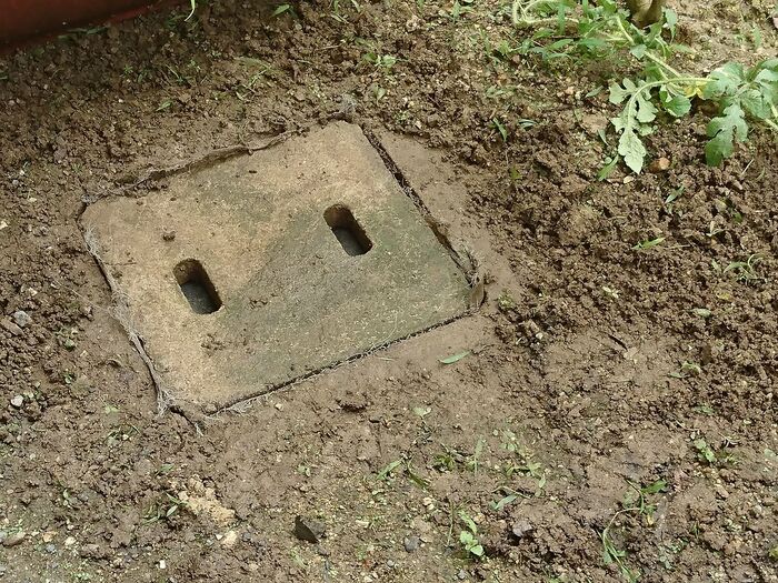 会所マスの実態