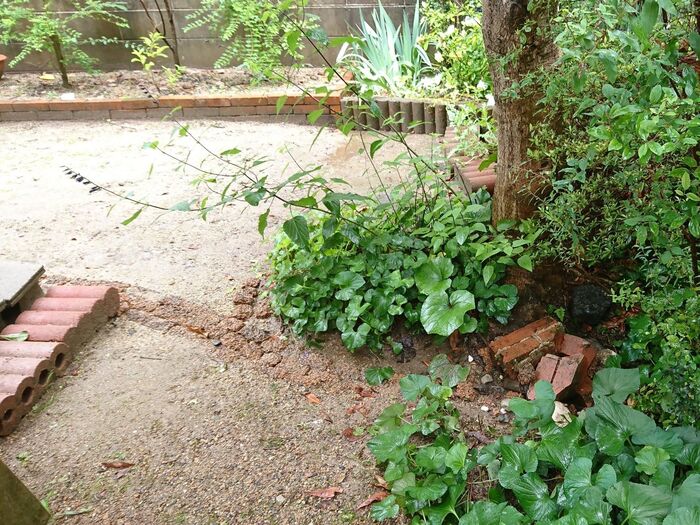 庭の無機質なコンクリートの会所枡の蓋を廃材で素敵空間に変身‼️