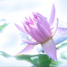 40代女性の【平均貯金額】と【理想の貯金額】ってどのくらい?