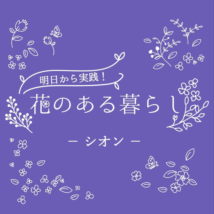 シオン(紫苑)をもっと知ろう!花言葉や基本情報