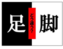 「足」と「脚」はどう違う!? 似て非なる言葉の世界 vol.2
