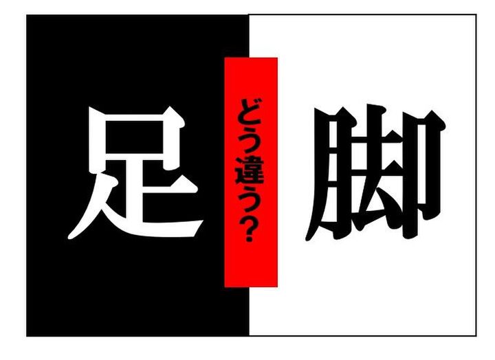 「足」と「脚」はどう違う!? 似て非なる言葉の世界 vol.2