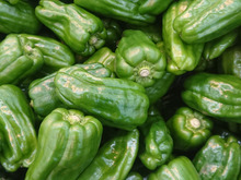 ピーマンが『安っす~い時』には💕