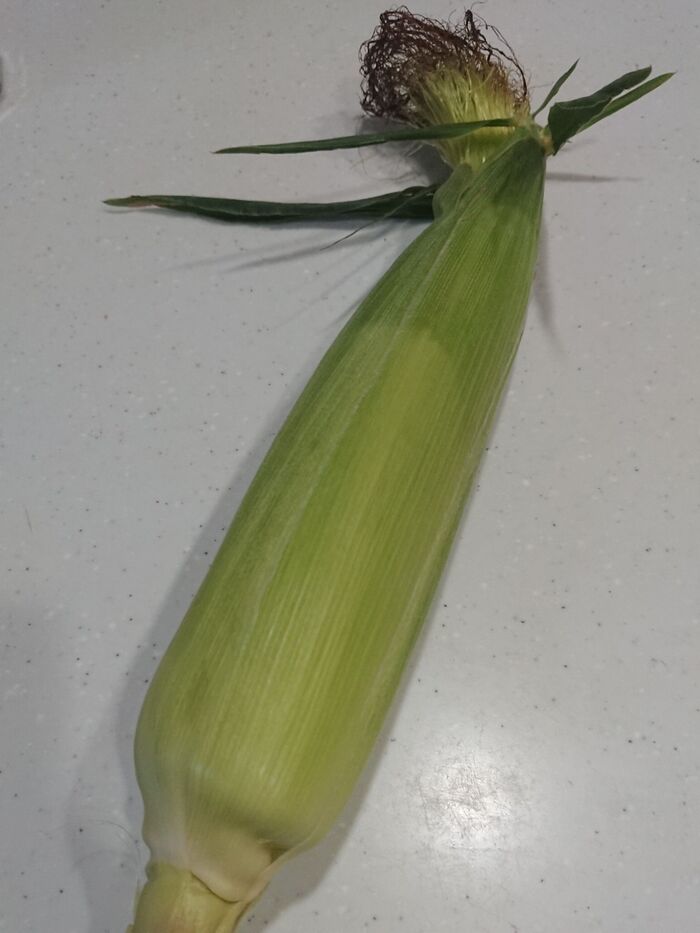 とうもろこし一本でシンプルでヘルシー