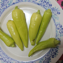 ダイエットに適した食品マイルドな辛味のため、サラダがお勧め!!