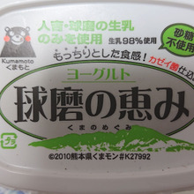 くまのめぐみ・・・・熊が作ったの?