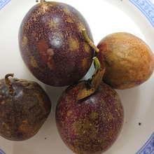 果物時計草て何だよ!! 情熱フルーツは・・・・嘘!!