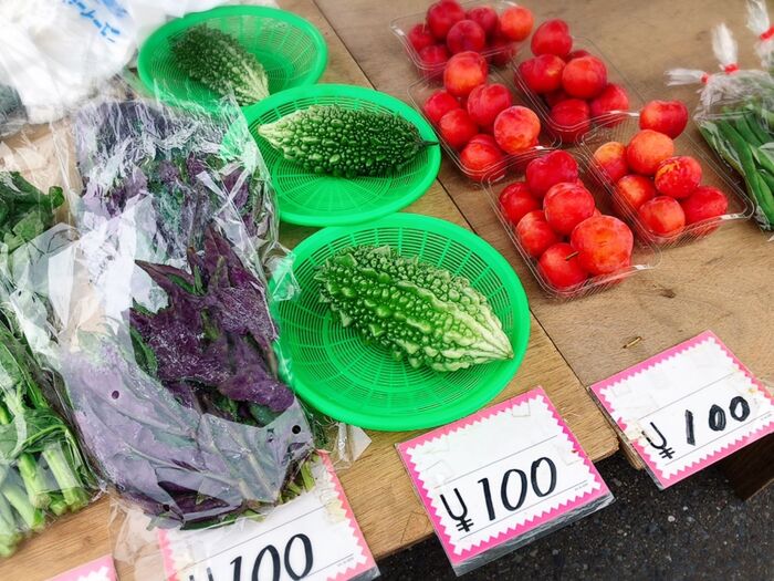 朝市のお買い物♡