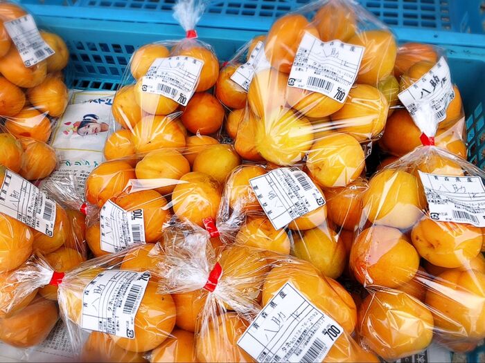 産直で買った八助梅♡