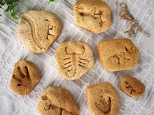 子供と一緒に化石づくり♪ 発掘ごっこ♪