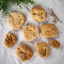 子供と一緒に化石づくり♪ 発掘ごっこ♪