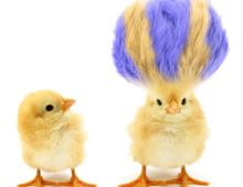 こんなはずじゃ!髪型の失敗エピソード