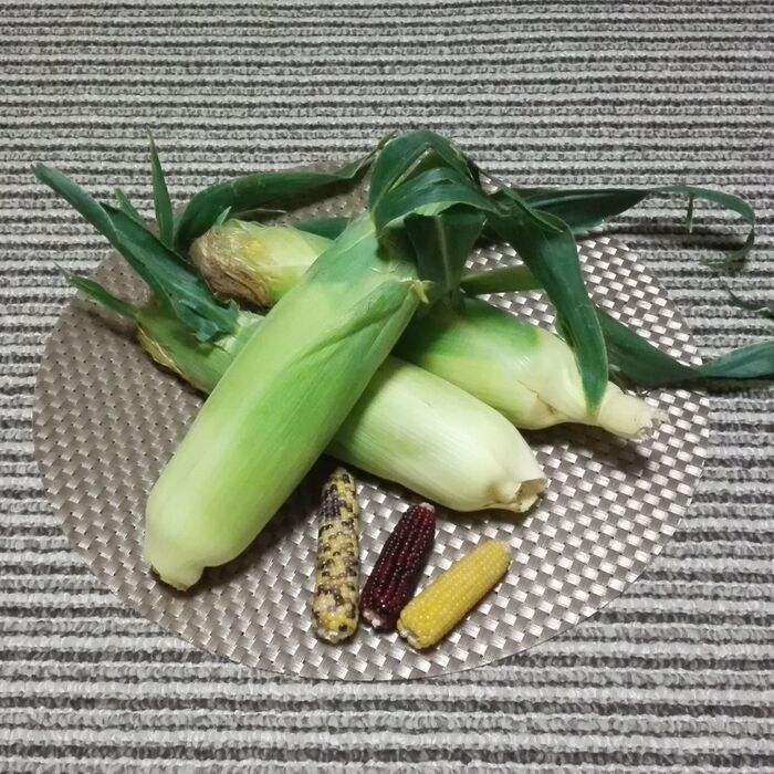 快感 🌽とうもろこしの皮を「一瞬」で剥く方法❗