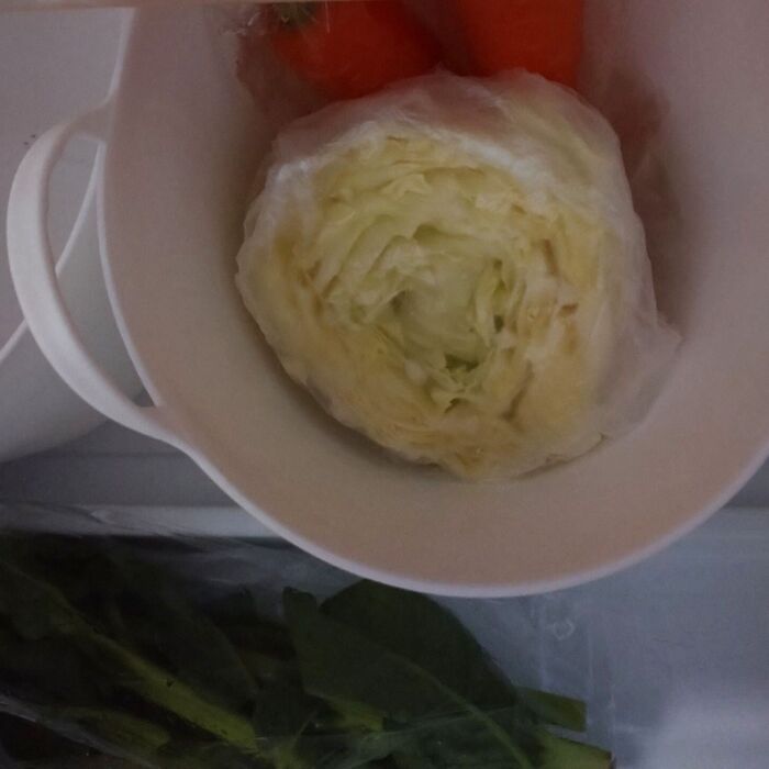 ①青ネギひと束・キャベツひと玉買っていた頃!