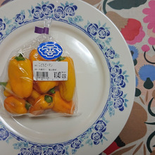 苦み少ないキッズの味方『こどもピーマン』