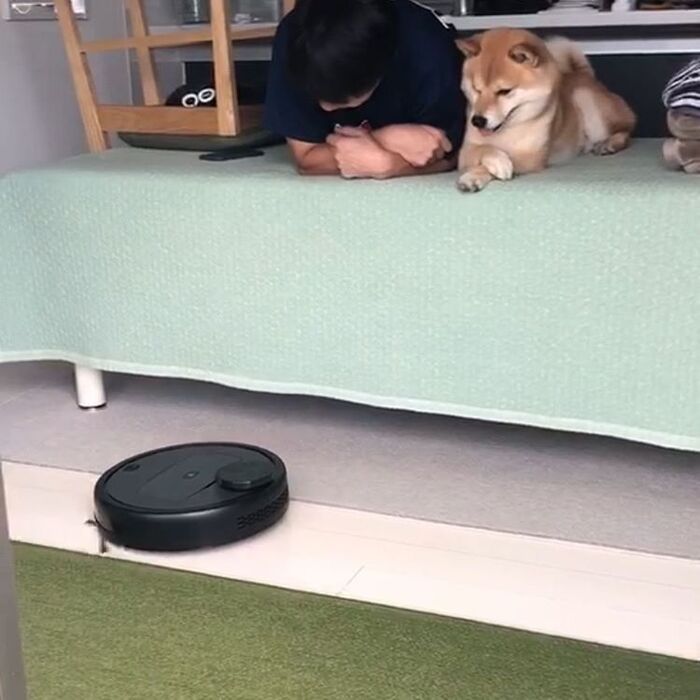 【ここまでしてくれる?】頼れるパートナー「ロボット掃除機」