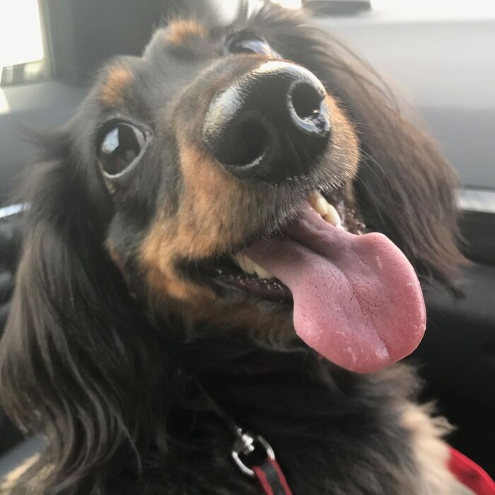 やはり部屋の汚れ、ホコリの発生は避けられないのでしょうか?