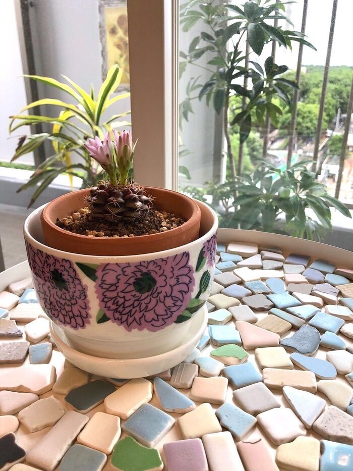 こちらもタイルを使った鉢置きです♪