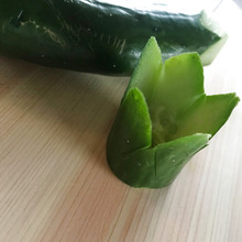 食べられるよ!おかずカップきゅうり飾り切り(動画付き)