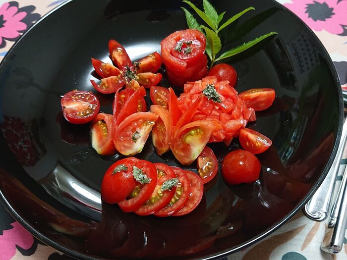 とま とぅ salad Stendhalに恋して・・・・・