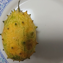 別名 ツノニガウリ キワノ Kiwano