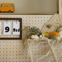 ビーチコーミング+エアプランツ=オサレ!をインテリアに取り入れよう!