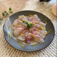 意外と簡単!ごちそう感たっぷり~真鯛の昆布締め