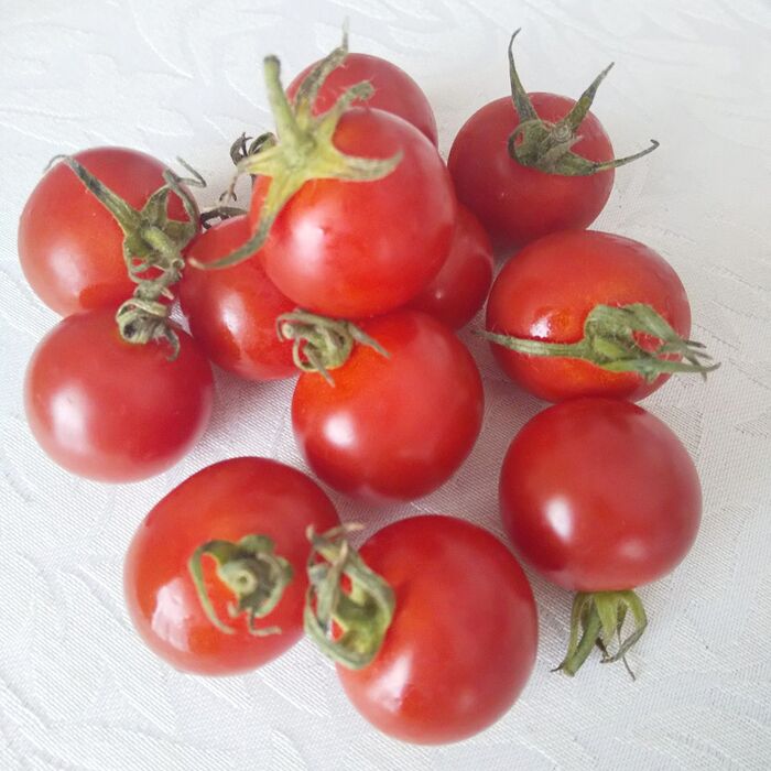 ミニトマトを買ったらまずこれをする!