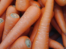 ニンジンが『安っす~い時』には💕