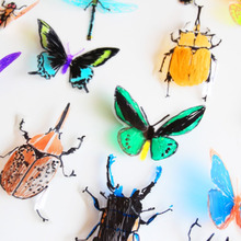 簡単クリアファイル工作!クリアな昆虫トレース♪飾り方いろいろ