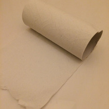 「名もなき家事」トイレ問題(トイレットペーパー交換編)