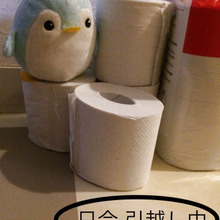 「名もなき家事」トイレ問題(トイレットペーパー購入&保管編)