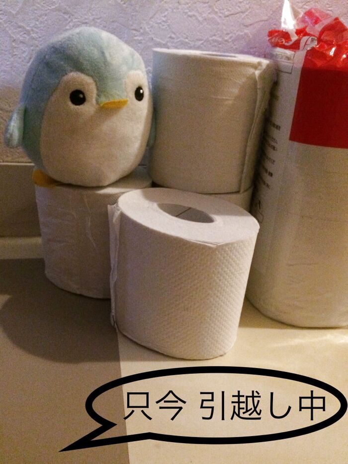 「名もなき家事」トイレ問題(トイレットペーパー購入&保管編)