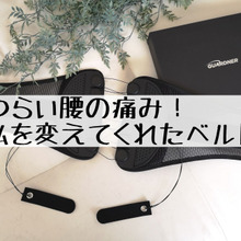 ガードナーベルトに出会った時、これだ!と直感