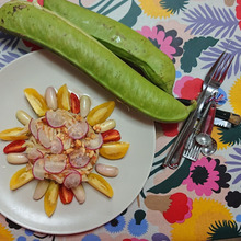 Som Tam ソムタム (青パパイヤのサラダ)