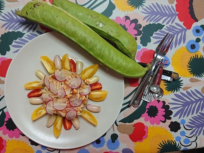 Som Tam ソムタム  (青パパイヤのサラダ)