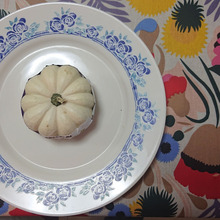 ほくほく甘い!冬にも食べられる白い色の【白皮栗かぼちゃ】