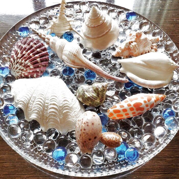 夏の思い出を涼しげに…消臭も兼ねて飾りましょう