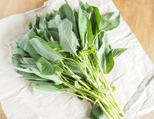 「モロトロ」って知ってる?冷凍保存でいつでもすぐトロトロ料理が味わえる♡