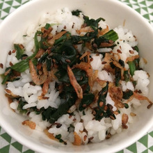 寝坊だ!弁当大作戦!彩りを増やす小えびホウレンソウ混ぜご飯