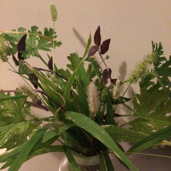 晩夏のミニ収穫祭!素朴な飾りに仕立てよう