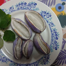 木通、通草、山女、丁翁・・・・あけびと読みます!!