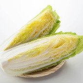 ダイエットの強い味方!冬に美味しい白菜の魅力をご紹介!