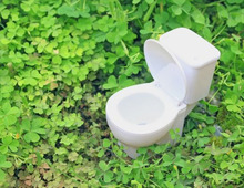 運気が急降下?!やってはいけない “トイレのNG風水”