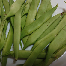 白金時菜豆の若サヤ