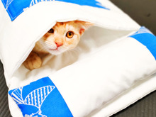 猫さんのお布団をハンドメイド☆