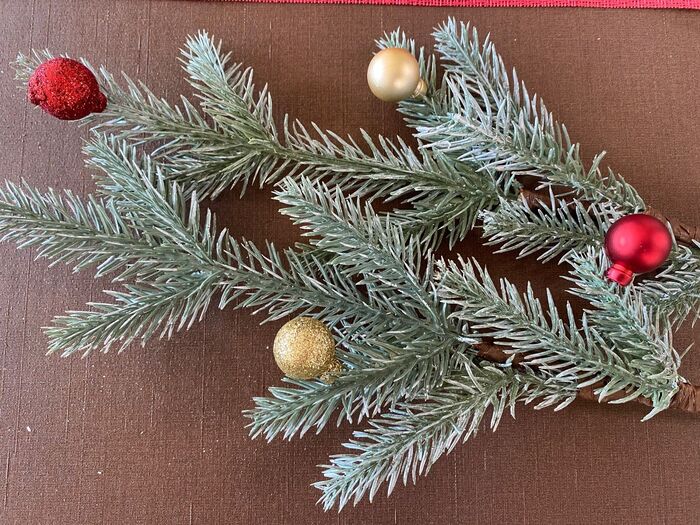 もみの木の枝に