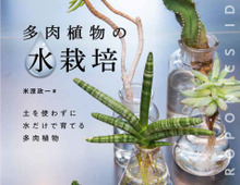 水を替えるだけでOK!新・栽培スタイルの植物を楽しみませんか